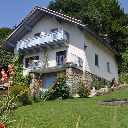 Ferienwohnung Regentalblick Miltach Extérieur photo