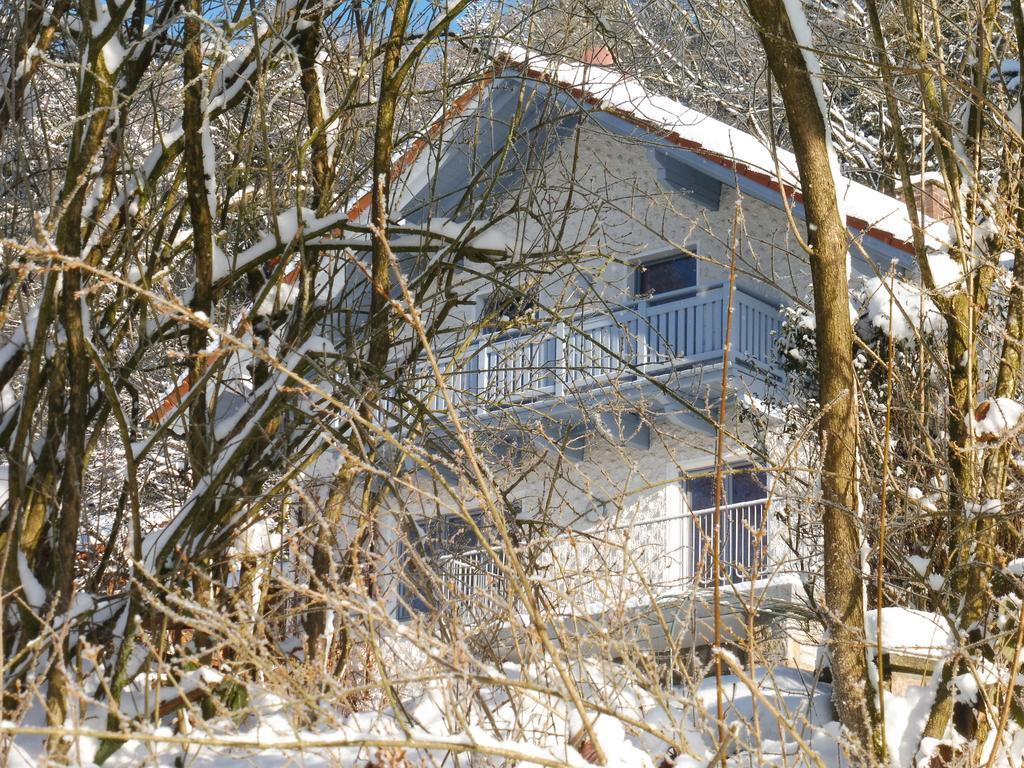 Ferienwohnung Regentalblick Miltach Extérieur photo